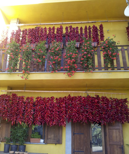 Bioagriturismo la Garavina a Terraova di Pollino (PZ)