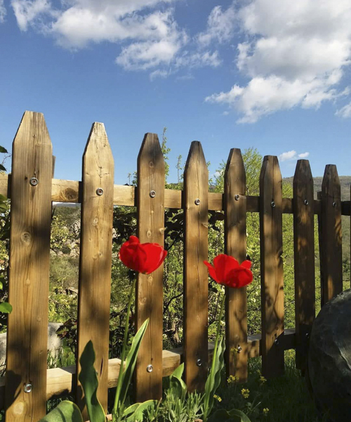 Bioagriturismo la Garavina a Terraova di Pollino (PZ)