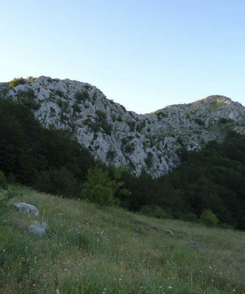 Escursioni agriturismo Pollino