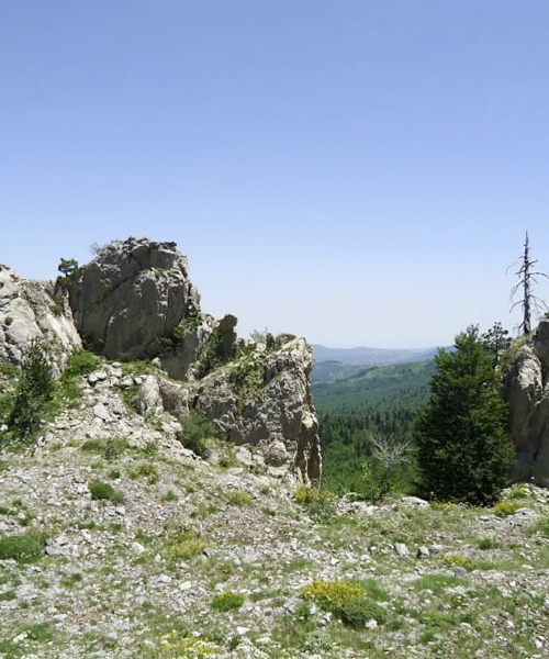 Escursioni agriturismo Pollino