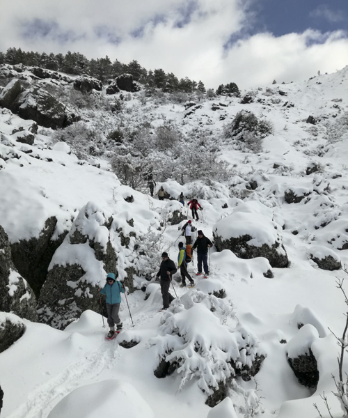 Escursioni su neve con le ciaspole Pollino