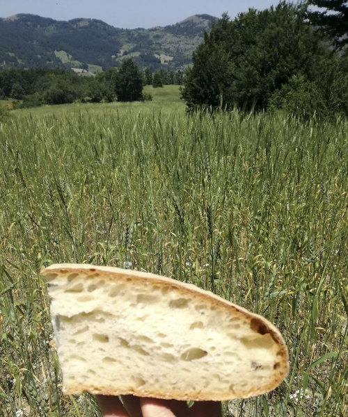 Prodotti tipici del Pollino