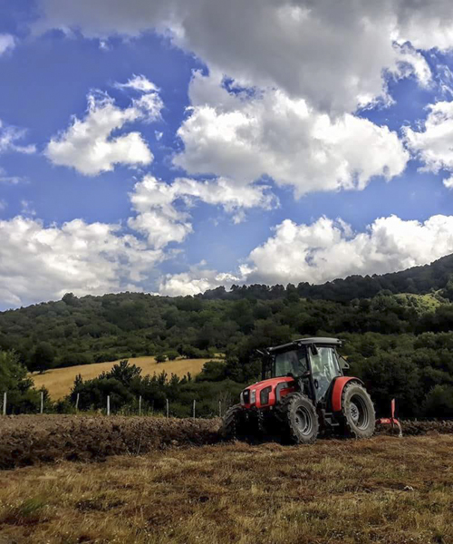 Azienda Agricola La Garavina